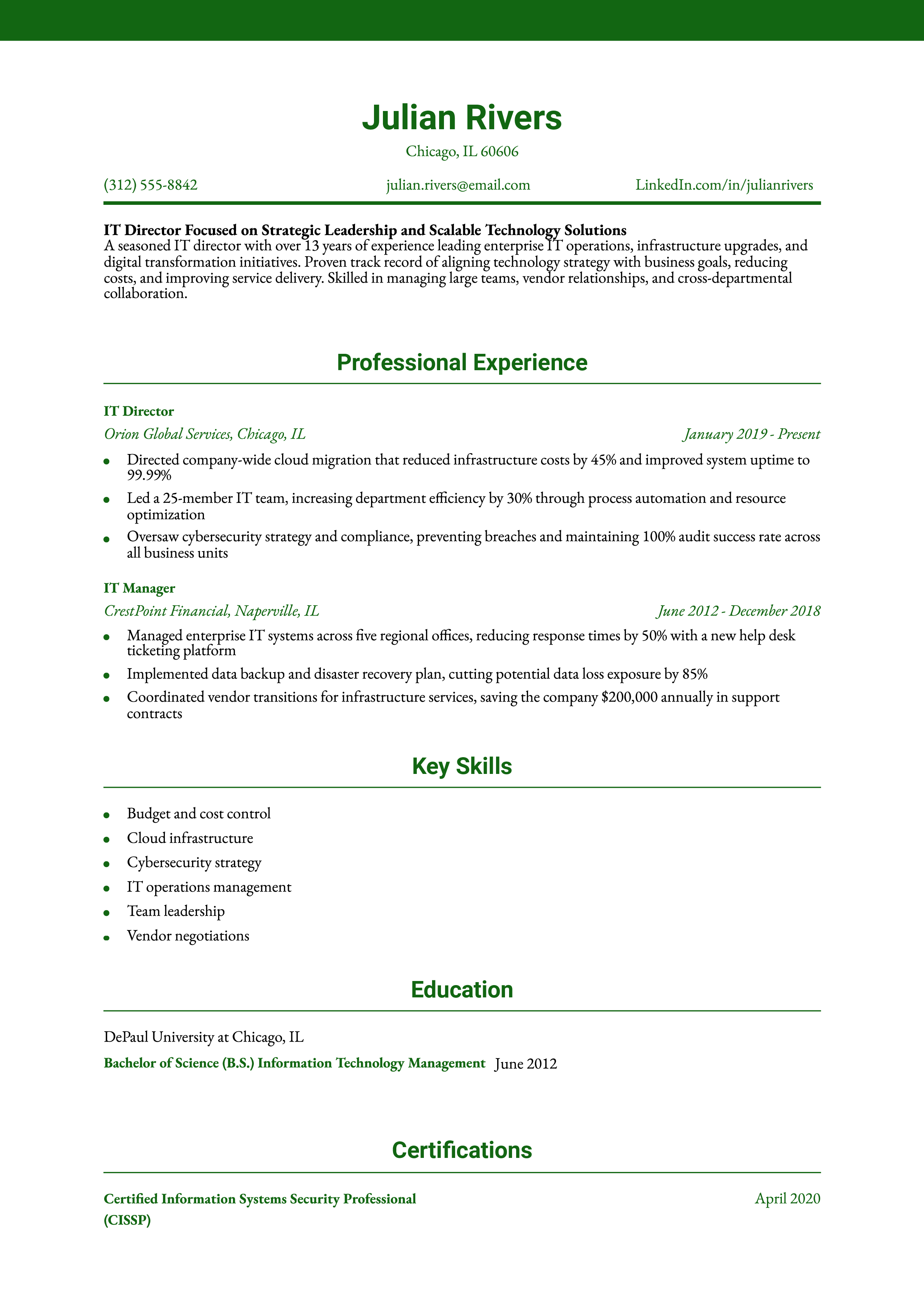 IT Director Resume Example