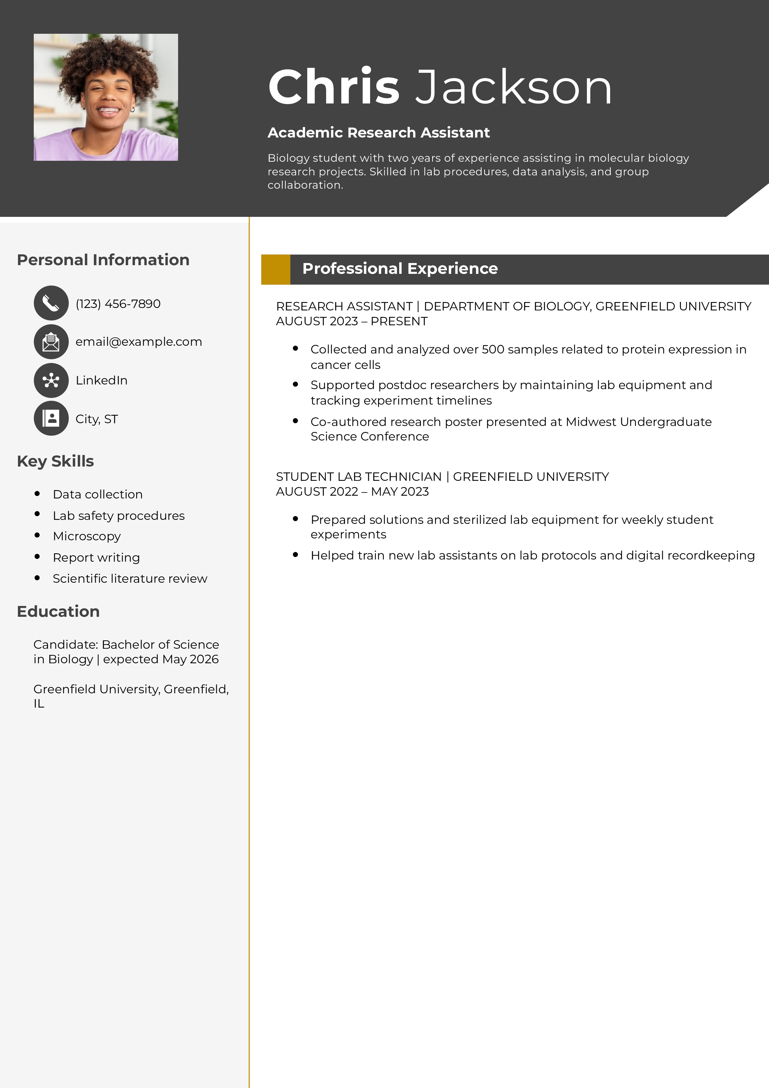 Academic Research Assistant Resume Example