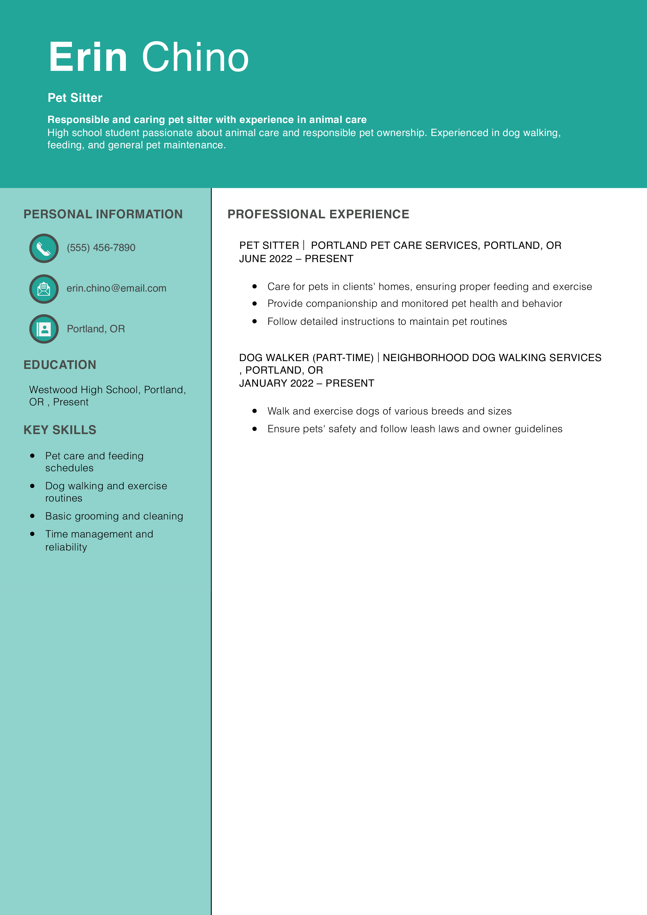 Pet Sitting Resume for Teens