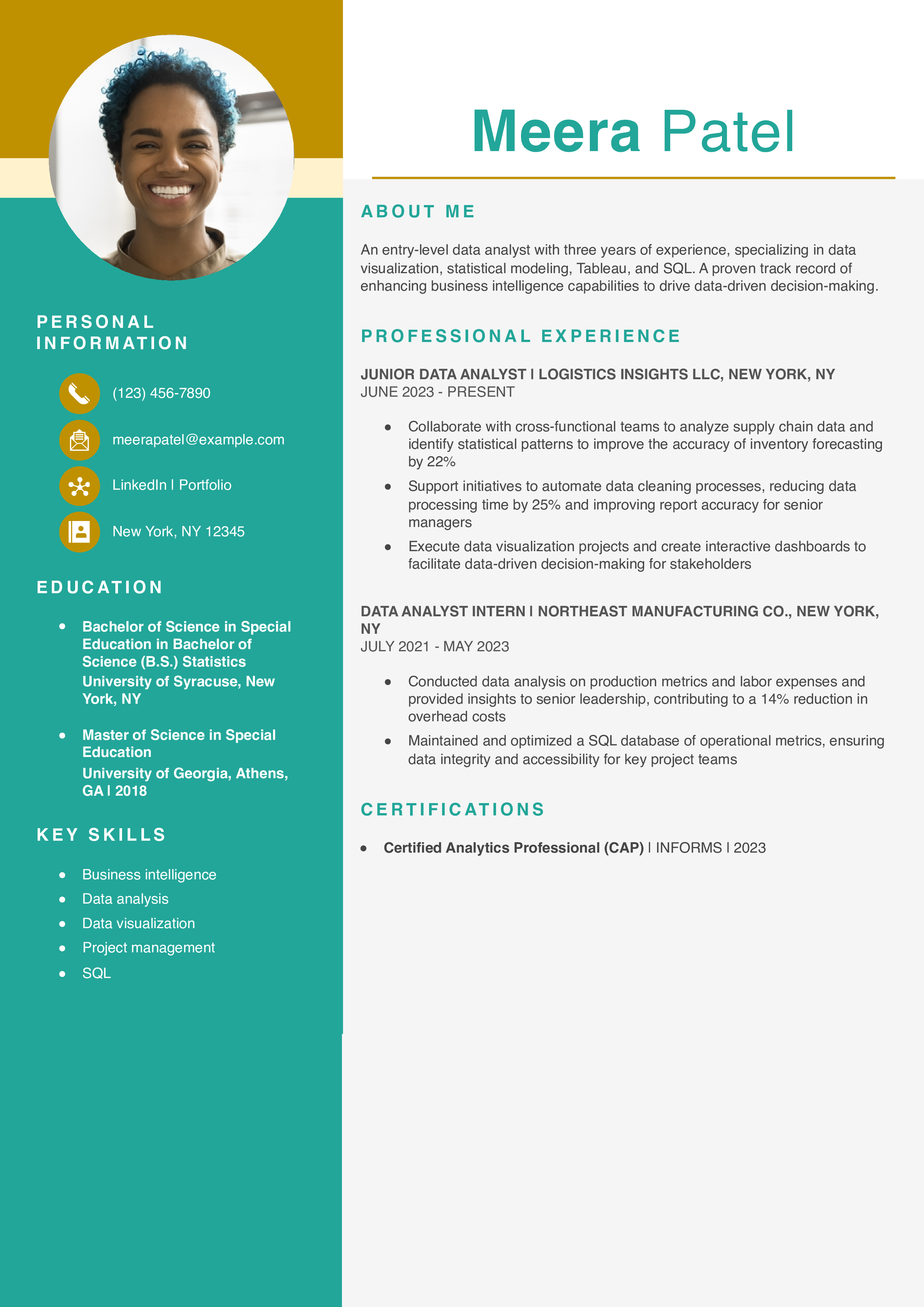 Junior Data Analyst Resume Example