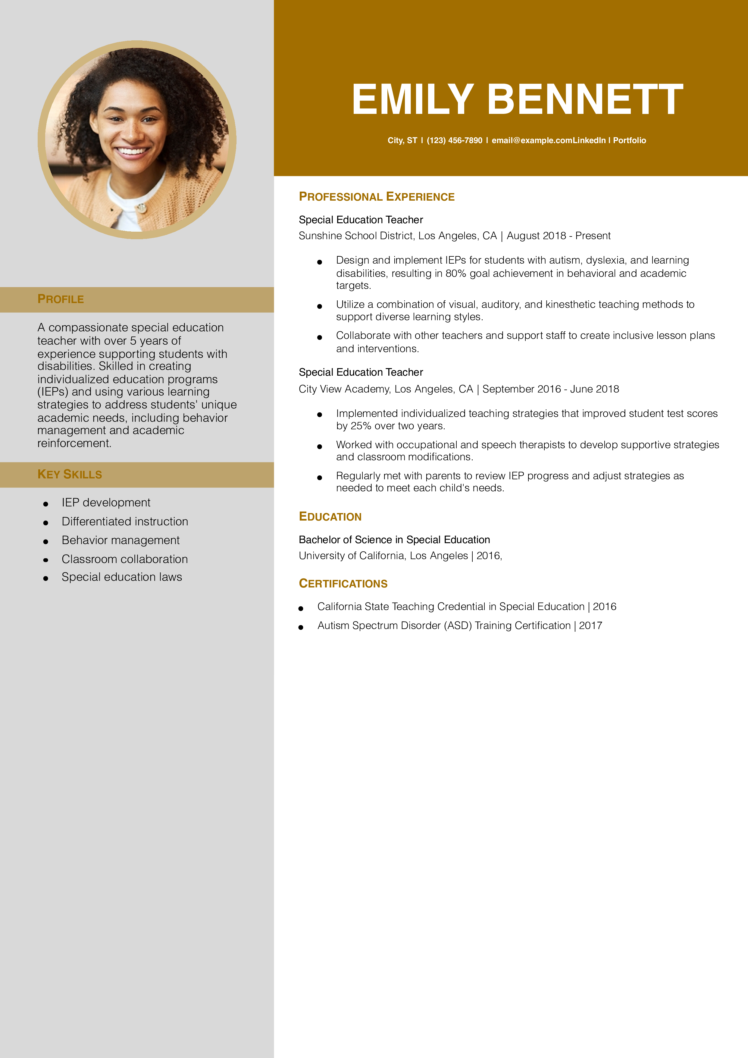 Special Education Teacher Resume Example